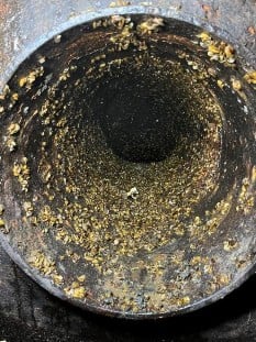 Golden Mussels lining the inside of a large diameter water distribution pipe